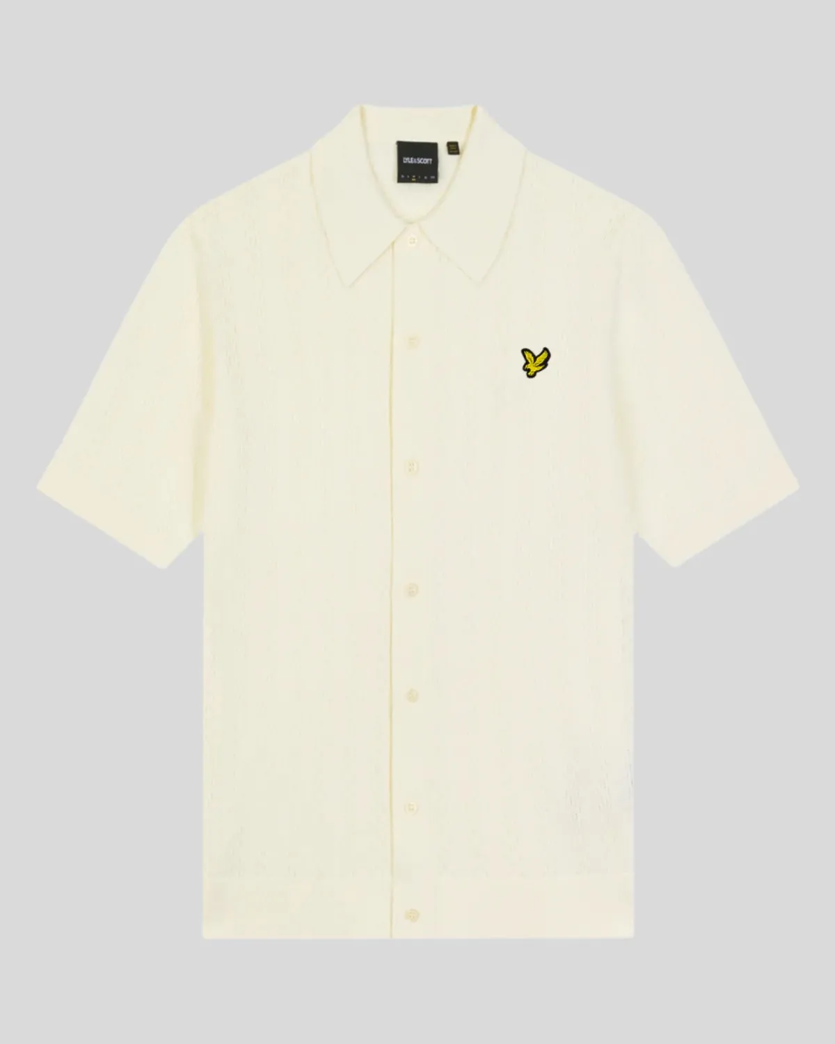 Textured Stripe Knit Polo Shirt